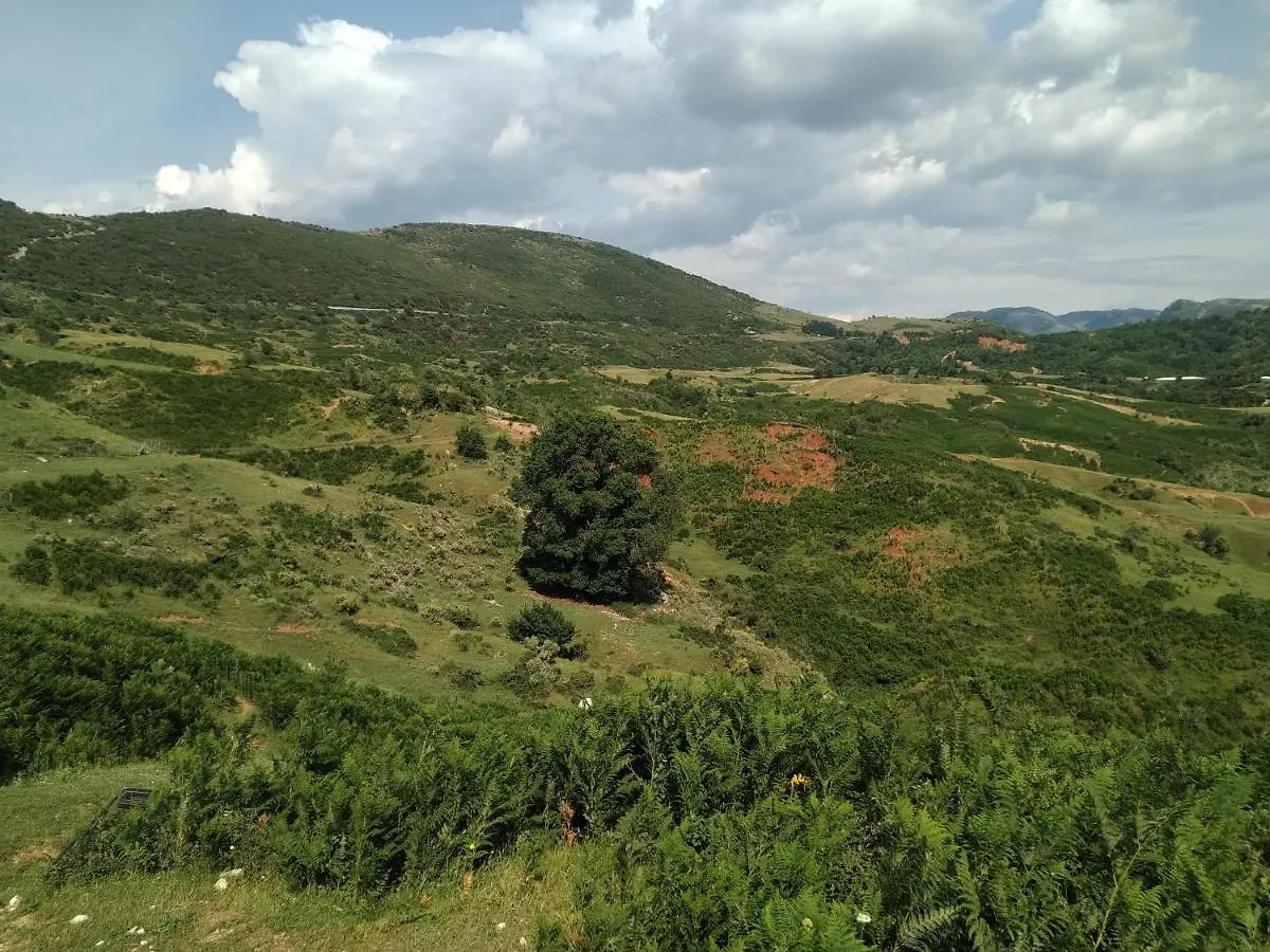 Guest House Bujtina Xhevair Gjoni Bed & Breakfast